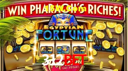 Estatísticas do Jogo 312bet